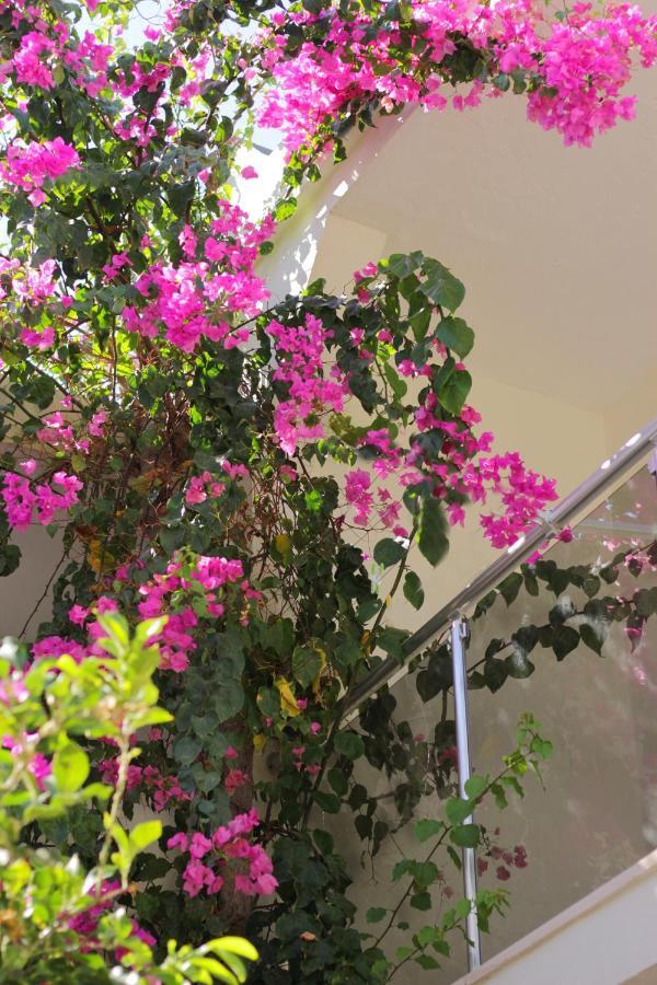 Açelya Otel Bodrum Kültér fotó